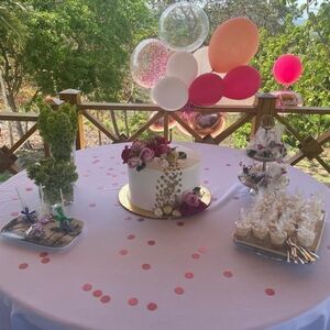 Vchic02 Birthday Show UNLISTED. As Shown During Live. No Cancellations.